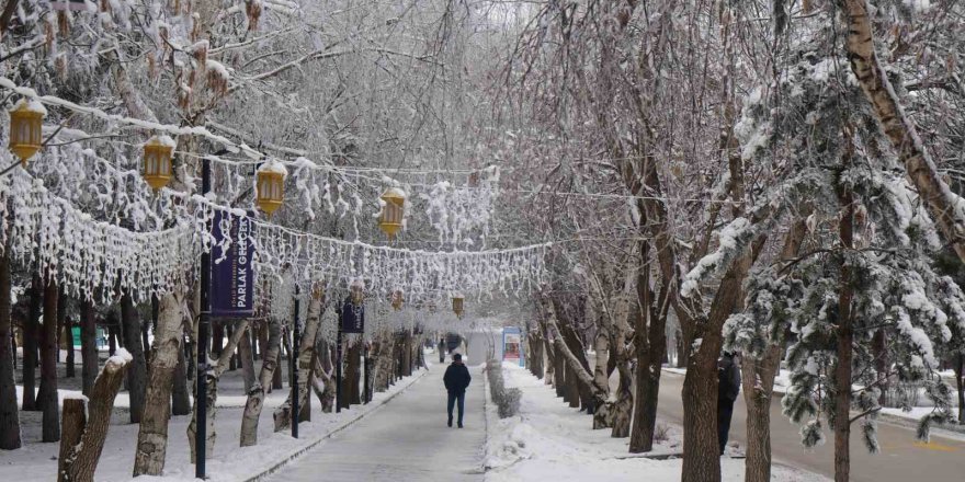 Erzurum'da Kırağı Güzelliği.. eksi 14 Derecede Doğa Beyaza Büründü!