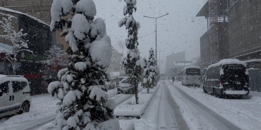 Patnos’ta Baharı Beklerken 40 Santimetre Kar Yağdı