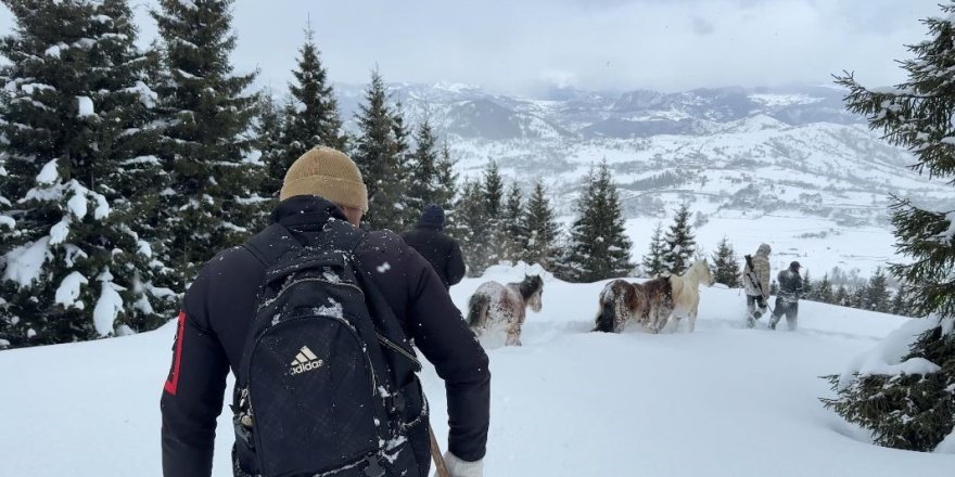 Artvin’de Zorlu Kurtarma.. 3 Aydır Kayıp Atlar Karlar Altından Köye İndirildi!