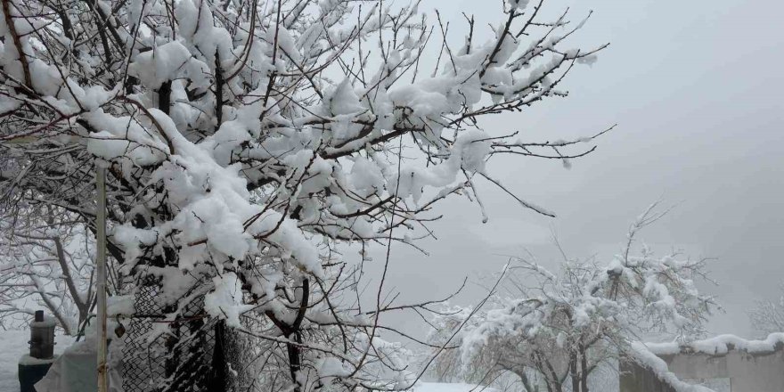 Hakkari’de 82 Yerleşim Yerinin Yolu Kapandı