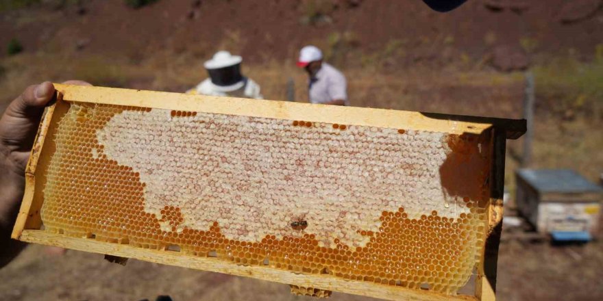 Erzincan Geven Balı Coğrafi İşaret Tescili Aldı