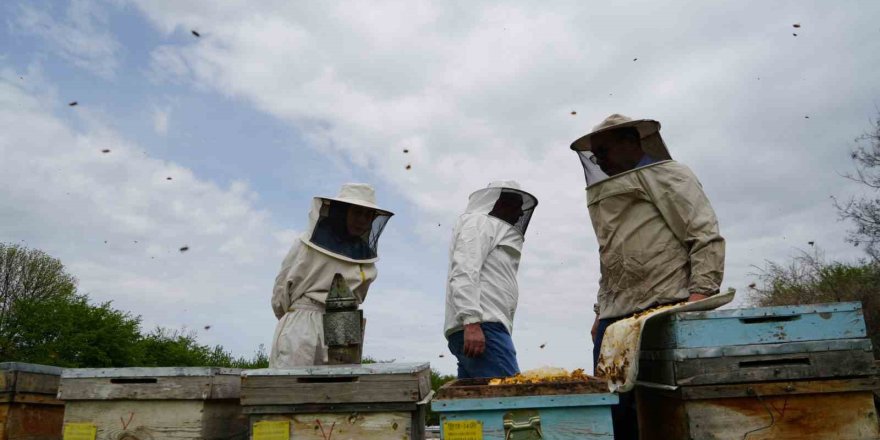 Kış Uykusundan Uyanan Arılar Erzincan’da Yeni Sezona Hazırlanıyor