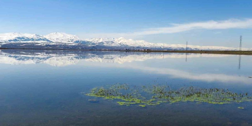 Kars ve Bölgede Don, Çığ Uyarısı.. Sis ve Buzlanmaya Dikkat!