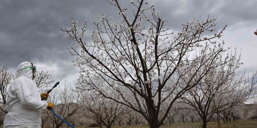 Kağızman’da Üreticilerle Gelecek Planlanıyor