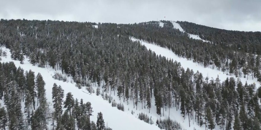 Sarıçam Ormanları Beyaza Büründü.. Sarıkamış’tan Kar Manzaraları!