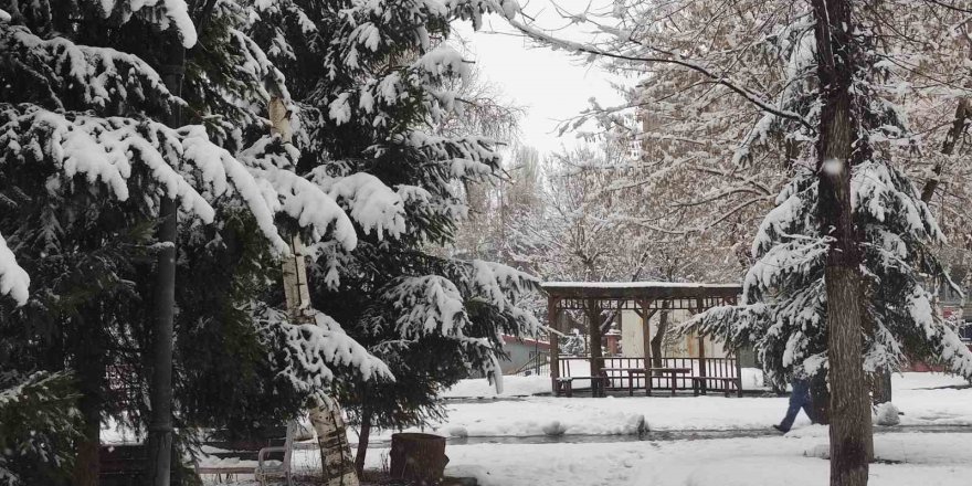 Ardahan’da Nisan Sürprizi.. Kar ve Don Hayatı Olumsuz Etkiledi!