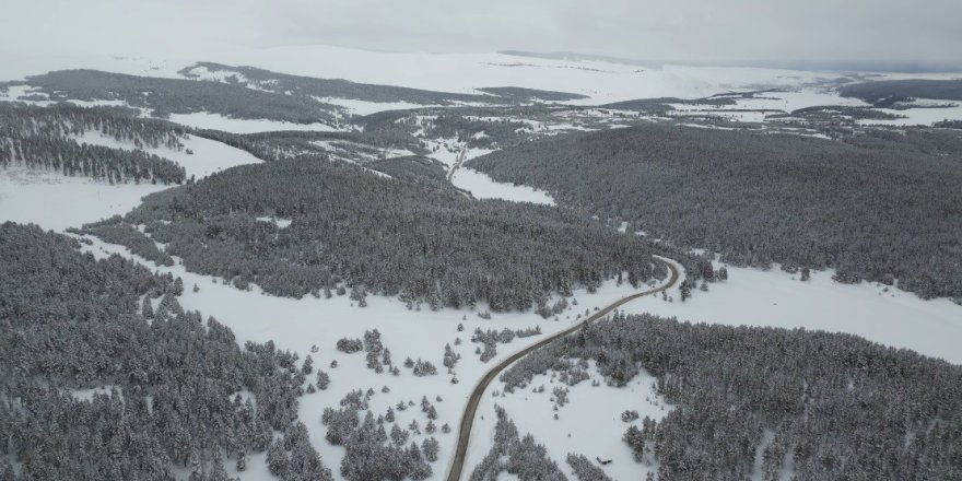 Baharda Kış Manzarası.. Kars/Sarıkamış-Erzurum Kara Yolu Büyüledi!