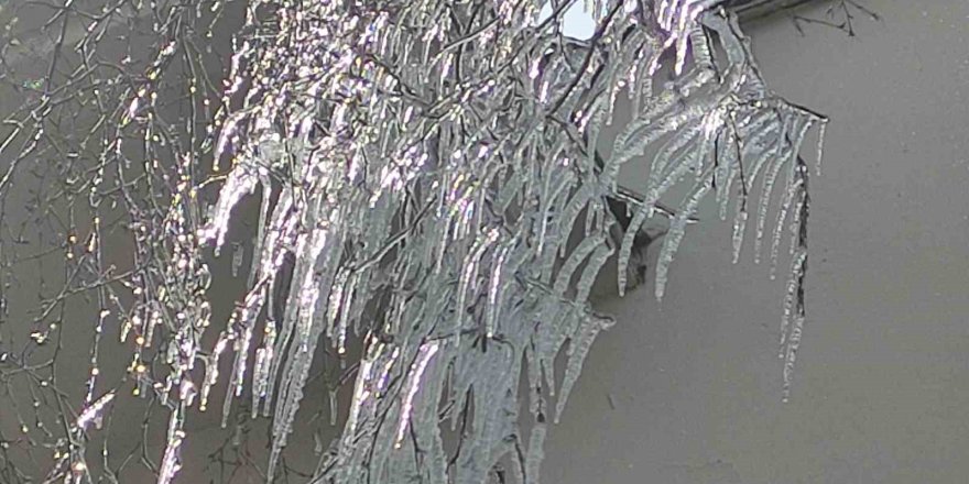 Hava Sıcaklığı Eksi 10’a Düştü, Ağaç Dalları Dondu