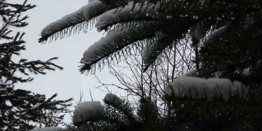 Ardahan Beyaza Büründü.. Aniden Bastıran Kar Yağışı Kenti Teslim Aldı!