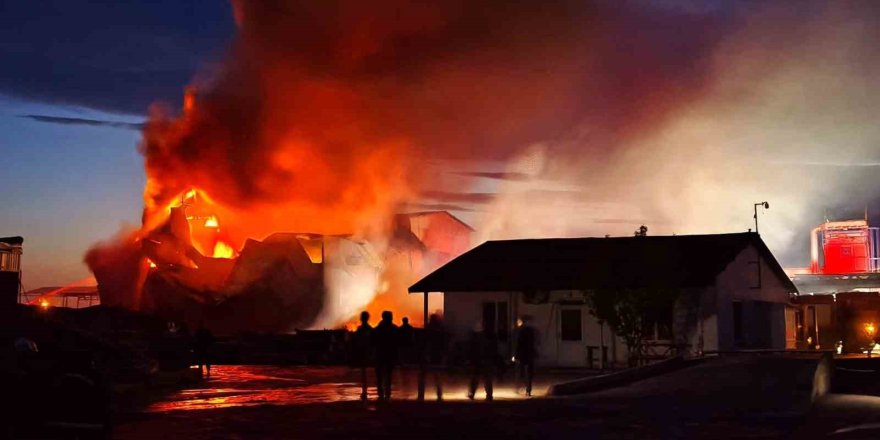 Edirne Paşaköy’de Kereste Fabrikasında Yangın