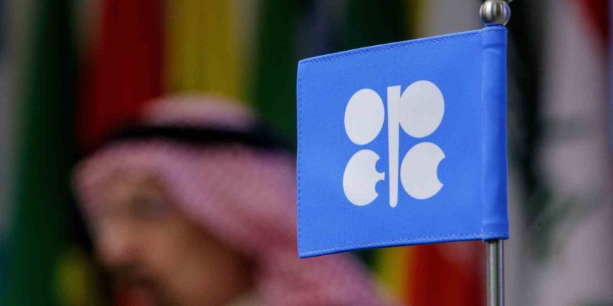 Birleşik Arap Emirlikleri, 1 Mayıs’tan İtibaren Opec ve Opec+’tan Ayrılıyor