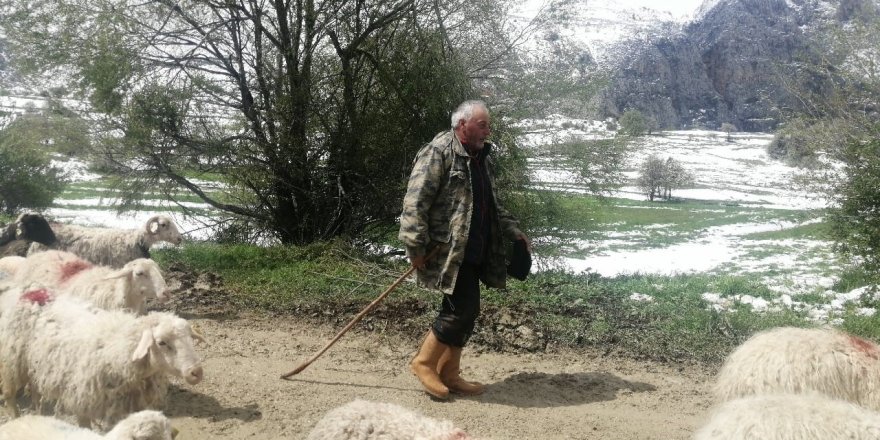 Isparta’da Yaylada Mahsur Kalan Çobanlar 30 Saat Sonra Kurtarıldı