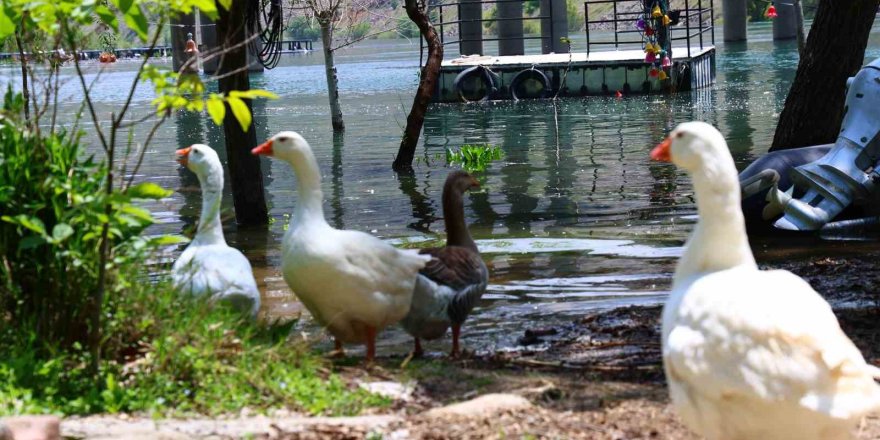 Keban Barajı Kapaklarını Açtı: Bahçeler Sular Altında Kaldı