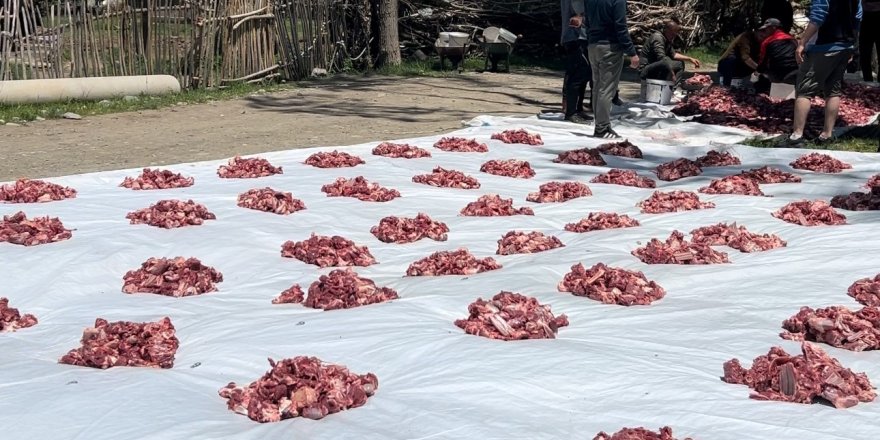 Yüksekova’da 100 Yıllık Gelenek: 140 Kurban Kesildi, Etler Tüm Köye Eşit Dağıtıldı