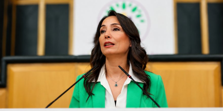 Hatimoğulları'ndan Meclis Mesajı.. Barış ve Demokratik Toplum Süreci Vurgusu!