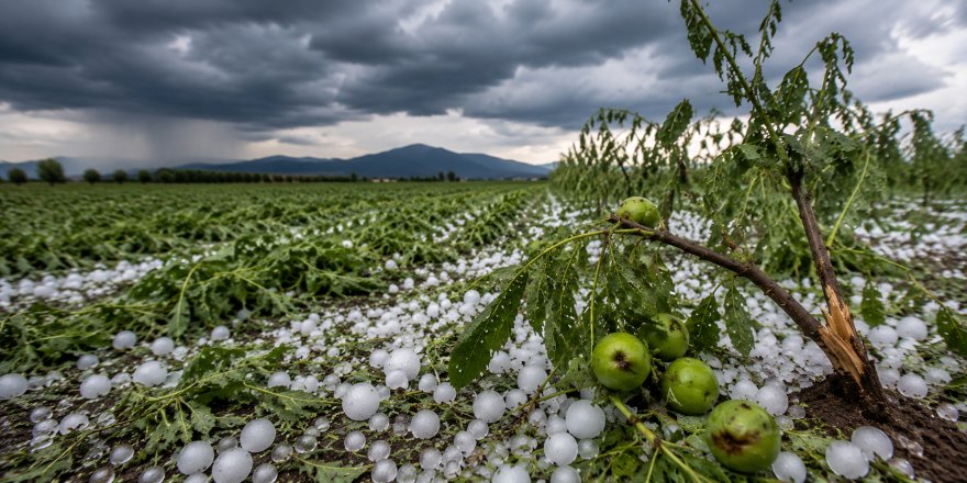 Akyaka’da Dolu Felaketi Tarımı Vurdu.. 9 Köy ve 3 Mahallede Hasar Oluştu!