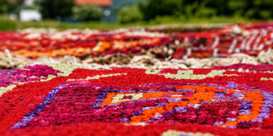 Halı Tarlaları Görsel Şölene Dönüştü.. Binlerce El Dokuması Halı Güneşle Yenileniyor!