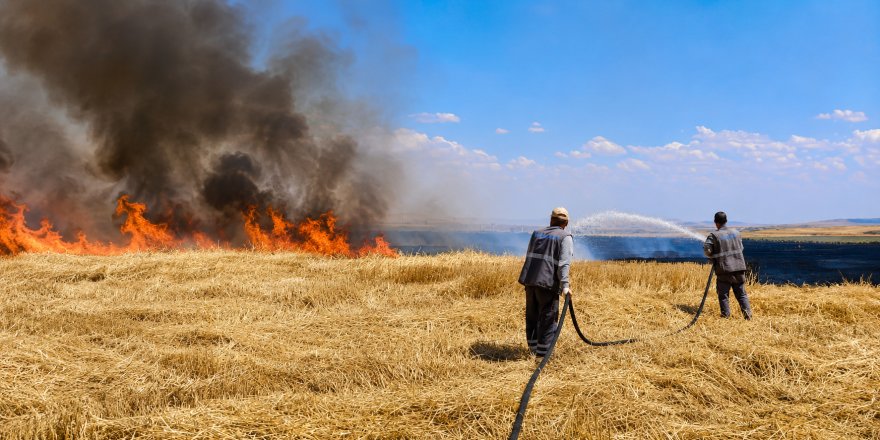 Diyarbakır’da Yüzlerce Dönüm Arazi Alevlere Teslim Oldu