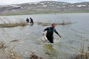 Çıldır Gölü'de Eskimo BALIKÇILAR