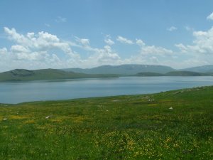 Aygır Gölü İlgisizlik Kurbanı