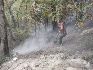 Safranbolu’da Orman Yangını