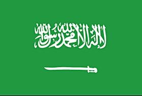 Suudi Arabistan’da 11 Prense Gözaltı