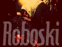 Roboski Anmasına İzin  Verilmedi