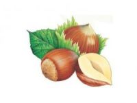 Korkulan Oldu, Fındık Dondu