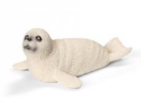 Akdeniz Foklarını Rahatsız Etmek Resmen Yasaklandı