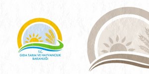 Hibe Destekli 'Proje Başvuru Sonuçları' Açıklandı