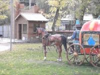 Masal Park ‘Masal’ Oluyor