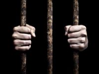 Mehmet Gültekin Tahliye Oldu