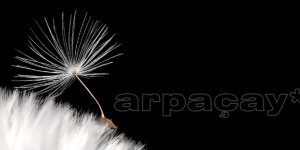 Arpaçay Kaymakamlığı İlçeyi Şantiyeye Çevirdi