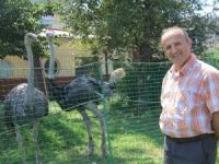 İtfaiye Bahçesinde Deve Kuşu Besliyor