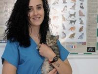 Kapı ve Pencereyi Açık Bırakırken Bir Daha Düşünün