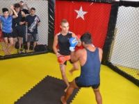 Kafeste Dövüştüler