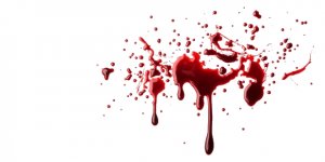 Kars’ta 'Arazi Kavgası' Büyümeden Önlendi