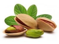 Antep Fıstığı Üreticiyi ve Tüccarı Hayal Kırıklığına Uğrattı