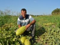 Örnek Çiftçi Bir İlki Daha Başardı