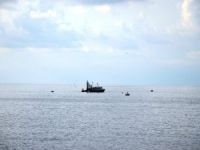 Denizde Palamut Bolluğu Yaşanıyor