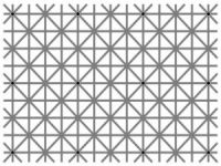 Bu Resimde Kaç Nokta Görebilirsiniz?