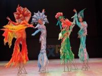 Buz Üzerindeki Sirk Gösterisi Büyüledi