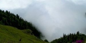 Danıştay’dan Cerattepe’ye Onay