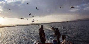 Van Gölü'nde İnci Kefali Avı Başladı