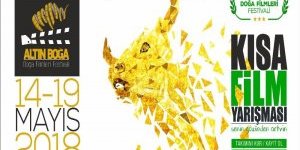 Altın Boğa Doğa Filmleri Festival Hazırlıkları