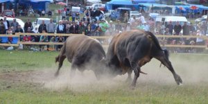 Ardanuç'ta Dalahet Şenlikleri