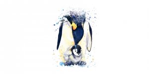 'Kral Penguenler'in Sayısı Hızla Azalıyor