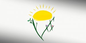 Kars'ta 'Cinsiyet Eşitliği' Atölye Çalışması