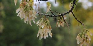 Sıcaklık Sıfırın Altına Düştü