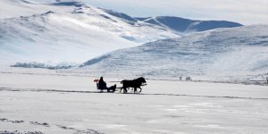 Çıldır Gölü'nün Vazgeçilmezi Atlı Kızaklar
